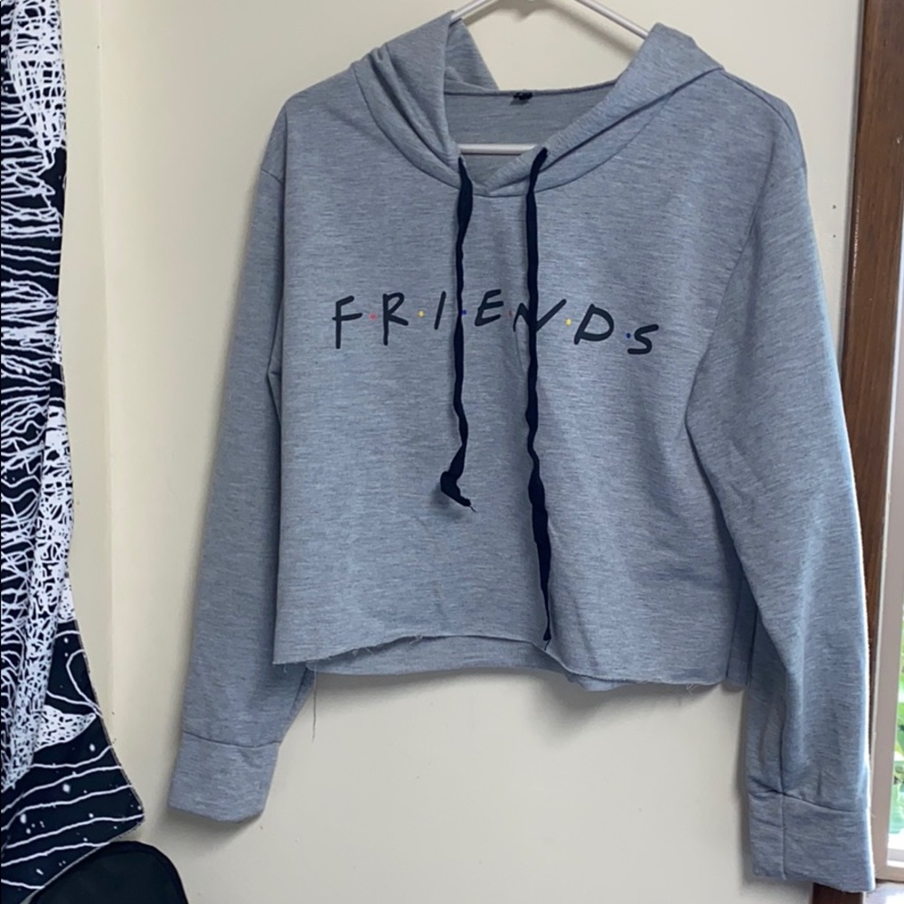 Friends Croptop Sweater Hoodie Gray
